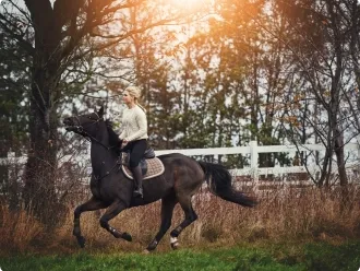 Horse Empowered Learning Programs, Inc.