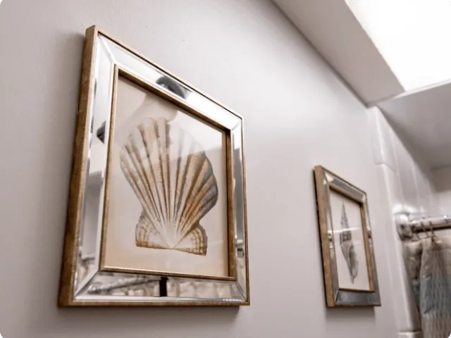 illustrations of seashells in picture frames on a wall