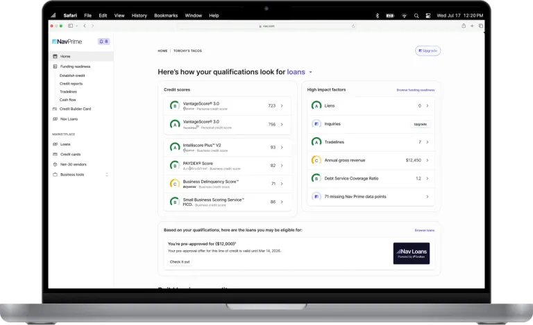 Credit score overview