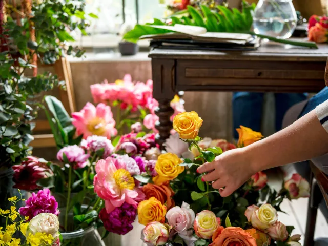 A hand picks out a flower from a colorful array