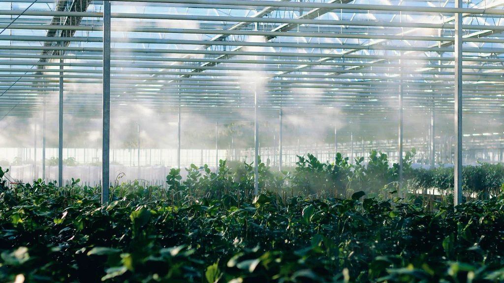 A greenhouse mists plants