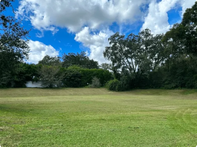 lush green landscaped field