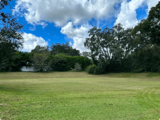 lush green landscaped field