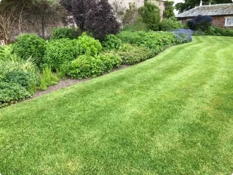 New Graze Lawn Care Services Llc