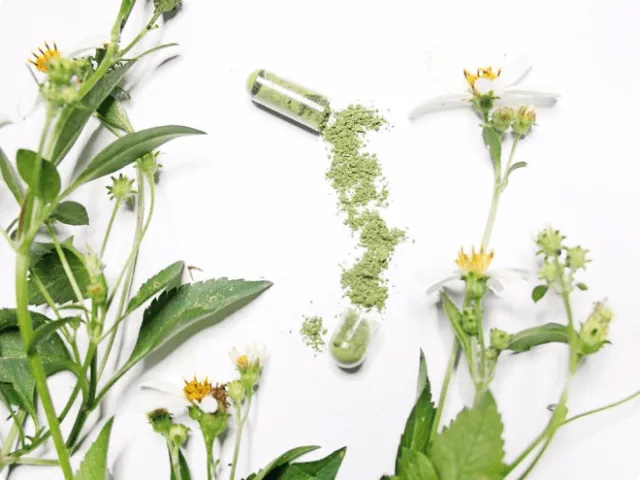 plants and a powder supplement