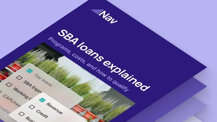 SBA Loans E-book