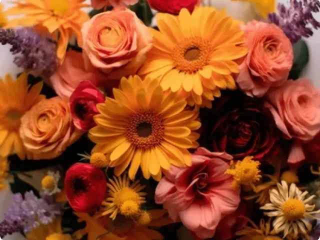 bouquet of flowers