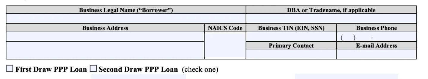PPP forgiveness form 3508EZ