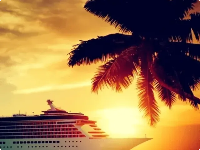 cruise ship in the background, a palm tree in front looking at a sunset
