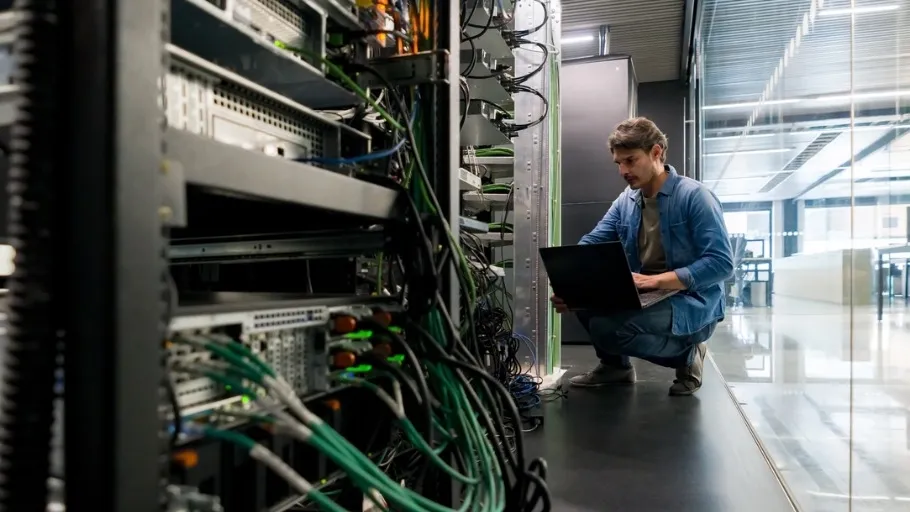 IT services professional checking servers