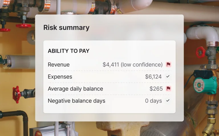 Risk summary dashboard showing revenue, expenses, and balance indicators with ability to pay assessment.