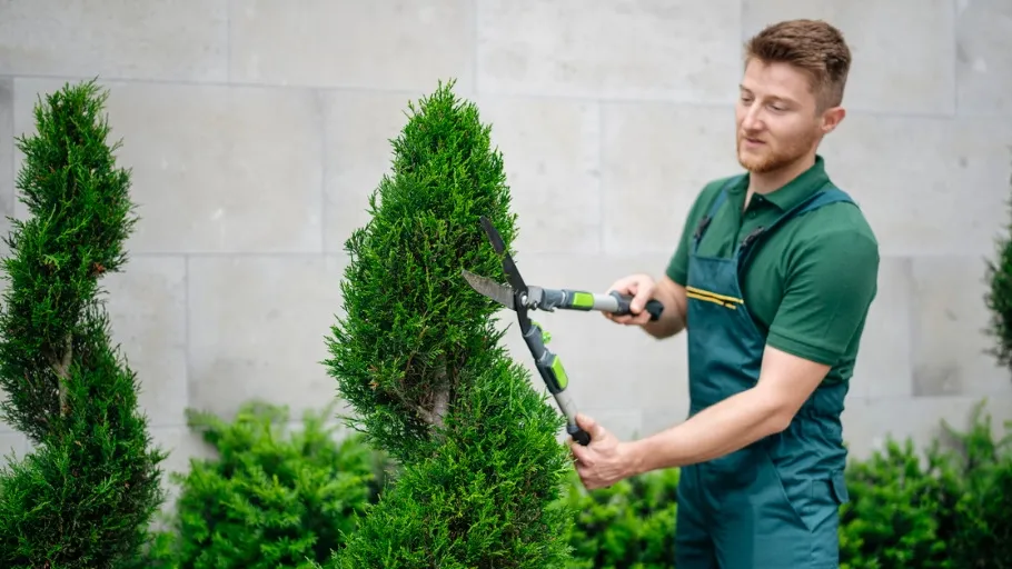 Lanscaping business owner trims hedges.