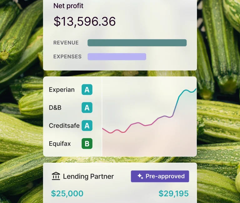 Simplified UI mockup showing net profit tracking, business credit grades, and a pre-approved loan offer overlaid on a zucchini produce background.