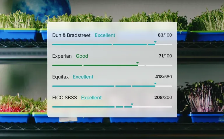 Credit scores from Dun & Bradstreet, Experian, Equifax, and FICO SBSS shown over trays of green sprouts