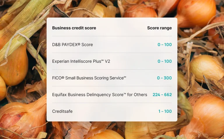 Simplified UI mockup table detailing score ranges for D&B PAYDEX, Experian Intelliscore, FICO SBSS, Equifax, and Creditsafe overlaid on an onion harvest background.