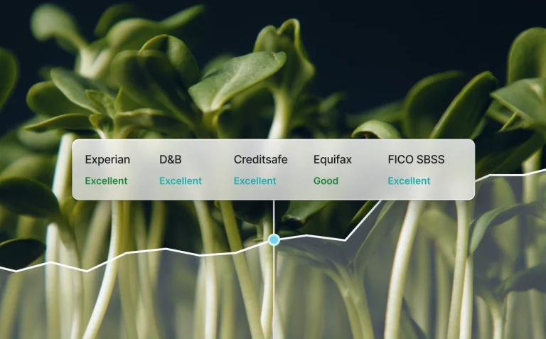 Simplified UI mockup showing business credit health ratings and growth trend line for Experian, D&B, Creditsafe, Equifax, and FICO SBSS overlaid on green sprouts.