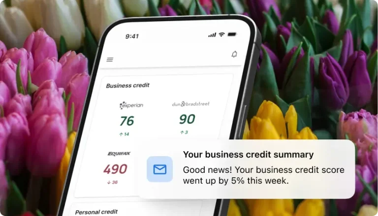 Business credit summary