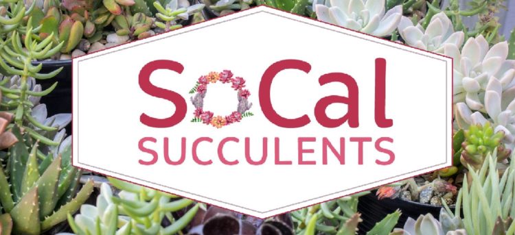 Meet SoCal Succulents: Nav’s Business Grant Runner-Up