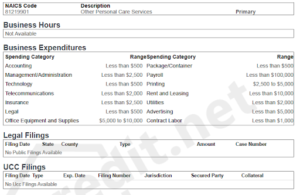 Credit history sample