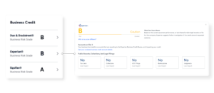 Nav's grouping of credit score