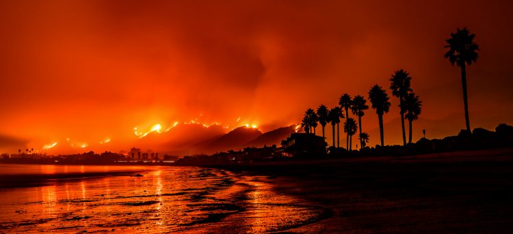 SBA Disaster Loans for Wildfires, Pandemics & Earthquakes