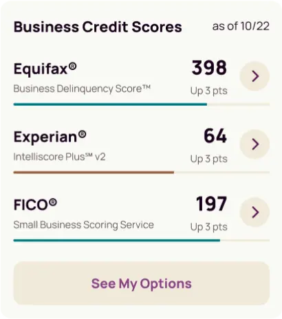 Business Credit Scores: See My Options